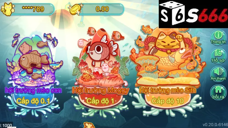 Kỹ thuật chuẩn bị cho một buổi câu cá thành công