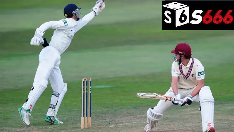 Kinh nghiệm thực tế từ những tay chơi cá cược bóng gậy S666