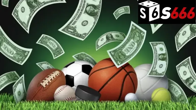 Lợi ích của việc cá cược thể thao tại s666